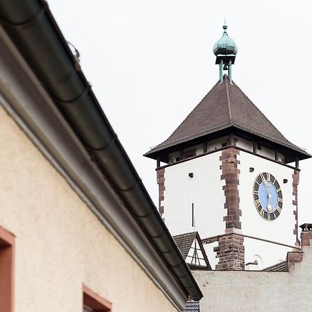 Deluxe Apartment Mit Schlossbergblick Fryburg Bryzgowijski Zewnętrze zdjęcie